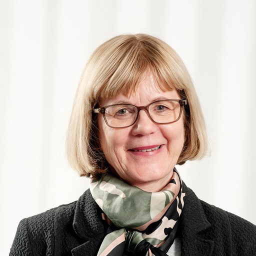 Ann-Helén Bay er professor ved Oslomet og hovedforfatter av artikkelen.&nbsp;