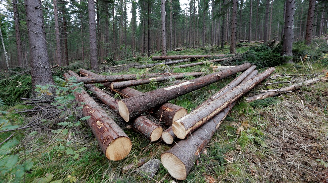Norsk skogbruk er så langt unna «industriskogbruk» og å være «sterke lobbyister» som vel mulig, skriver skogeier og seniorrådgiver i Glommen Mjøsen skog.&nbsp;&nbsp;