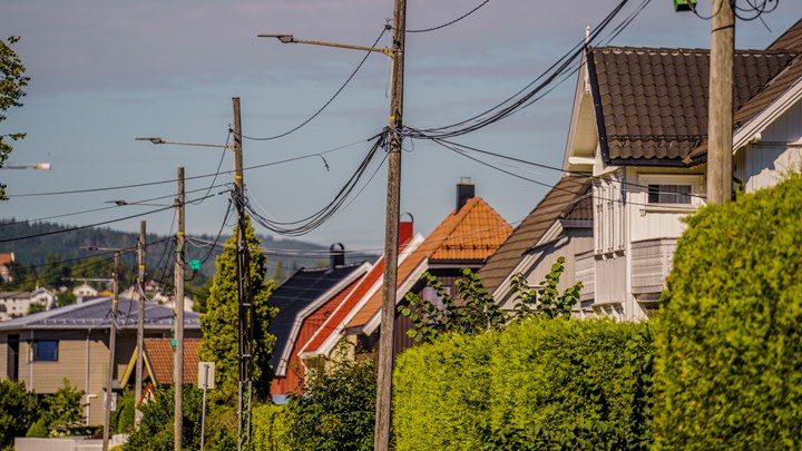 Lokalt fremstår nok de fleste arealendringer udramatiske. Et nytt boligfelt her, en ny parkeringsplass der, eller noen nye hytter i utkanten av et gammelt hyttefelt. Men summen av alle arealendringene vi gjør, har bidratt kraftig til naturkrisen kloden befinner seg i.
