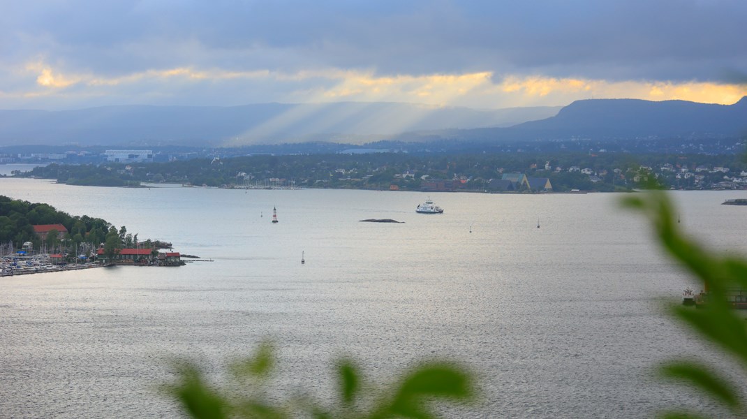 Velg en sjampo livet i Oslofjorden kan tåle