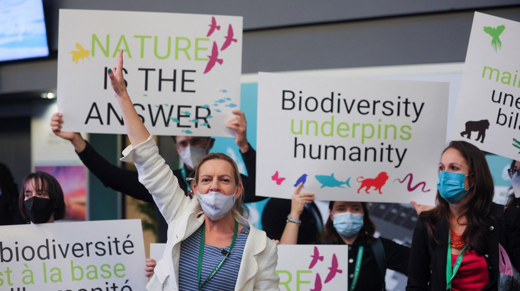 Naturtoppmøtet COP15 i Montreal varer fra 7. desember til 19. desember. Målet er å lande en ny global naturavtale.