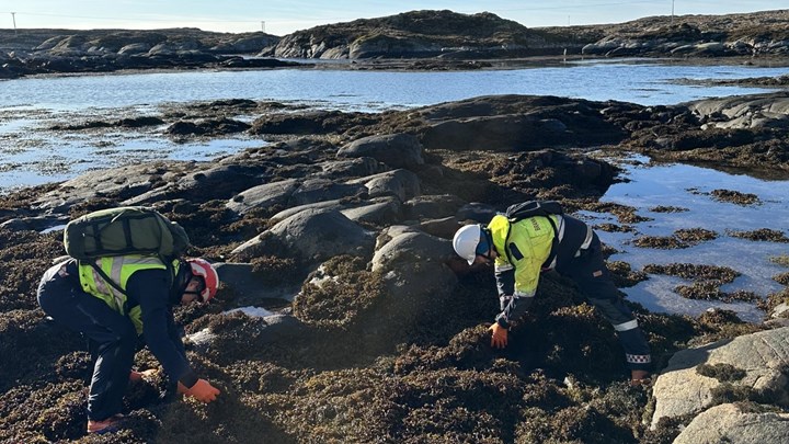 Seks uker etter første varslel om funn av olje ved land begynte opprydningen.