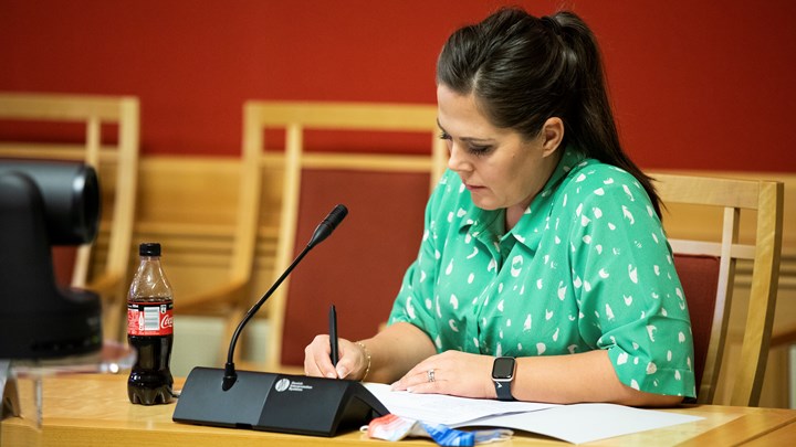 Westgaard-Halle satt sine første år på Stortinget i energi- og miljøkomiteen. Her fra en høring.