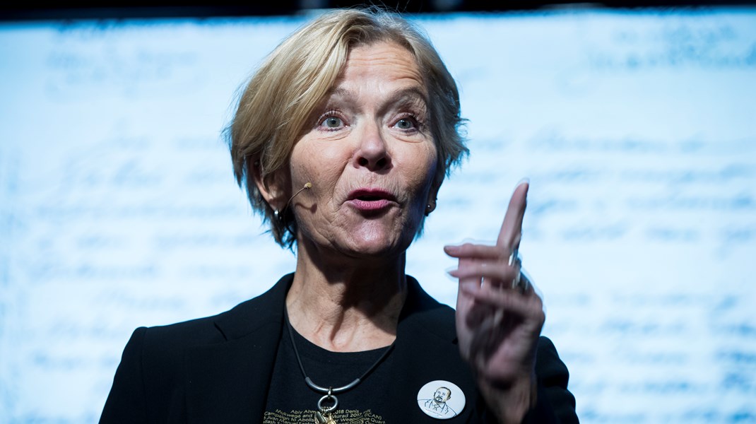 Leder for LOs internasjonale arbeid, Liv Tørres.