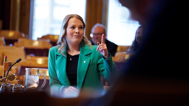 Maren Grøthe (Sp) var med på å fremme representantforslag for avdirektørifisering i statlige selskaper sammen med Trygve Slagsvold Vedum (Sp) og Erling Sande (Sp).